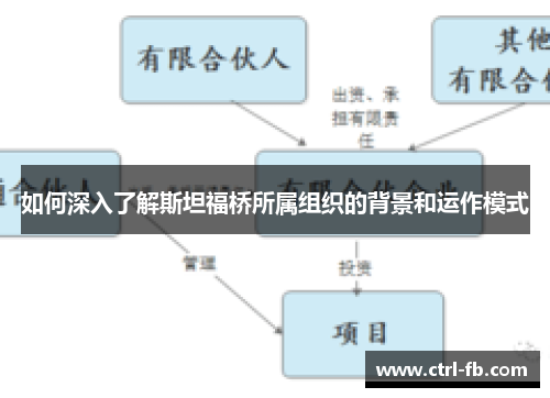 如何深入了解斯坦福桥所属组织的背景和运作模式