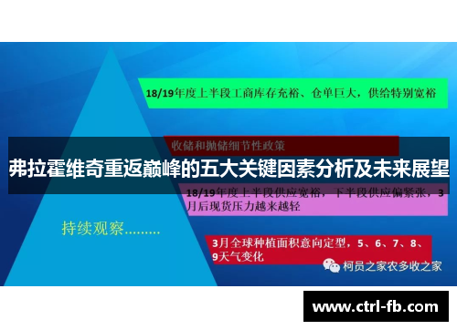 弗拉霍维奇重返巅峰的五大关键因素分析及未来展望