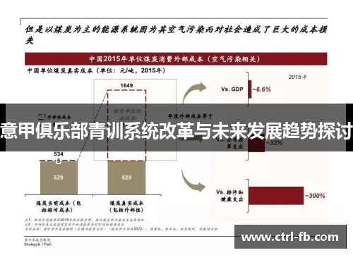 意甲俱乐部青训系统改革与未来发展趋势探讨
