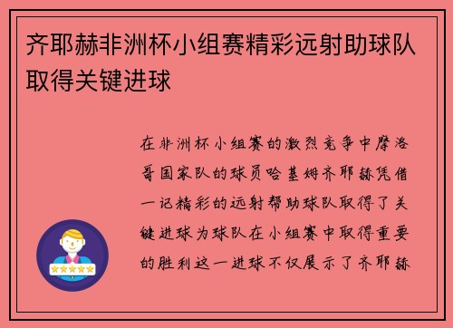 齐耶赫非洲杯小组赛精彩远射助球队取得关键进球